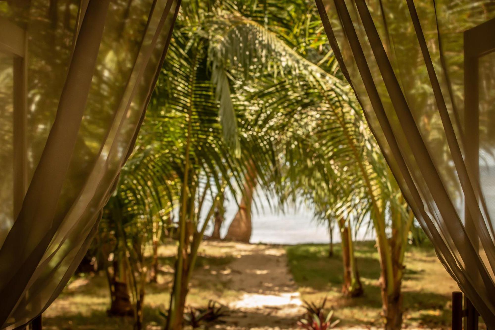 The Beach House Ocam Ocam Busuanga Exterior foto